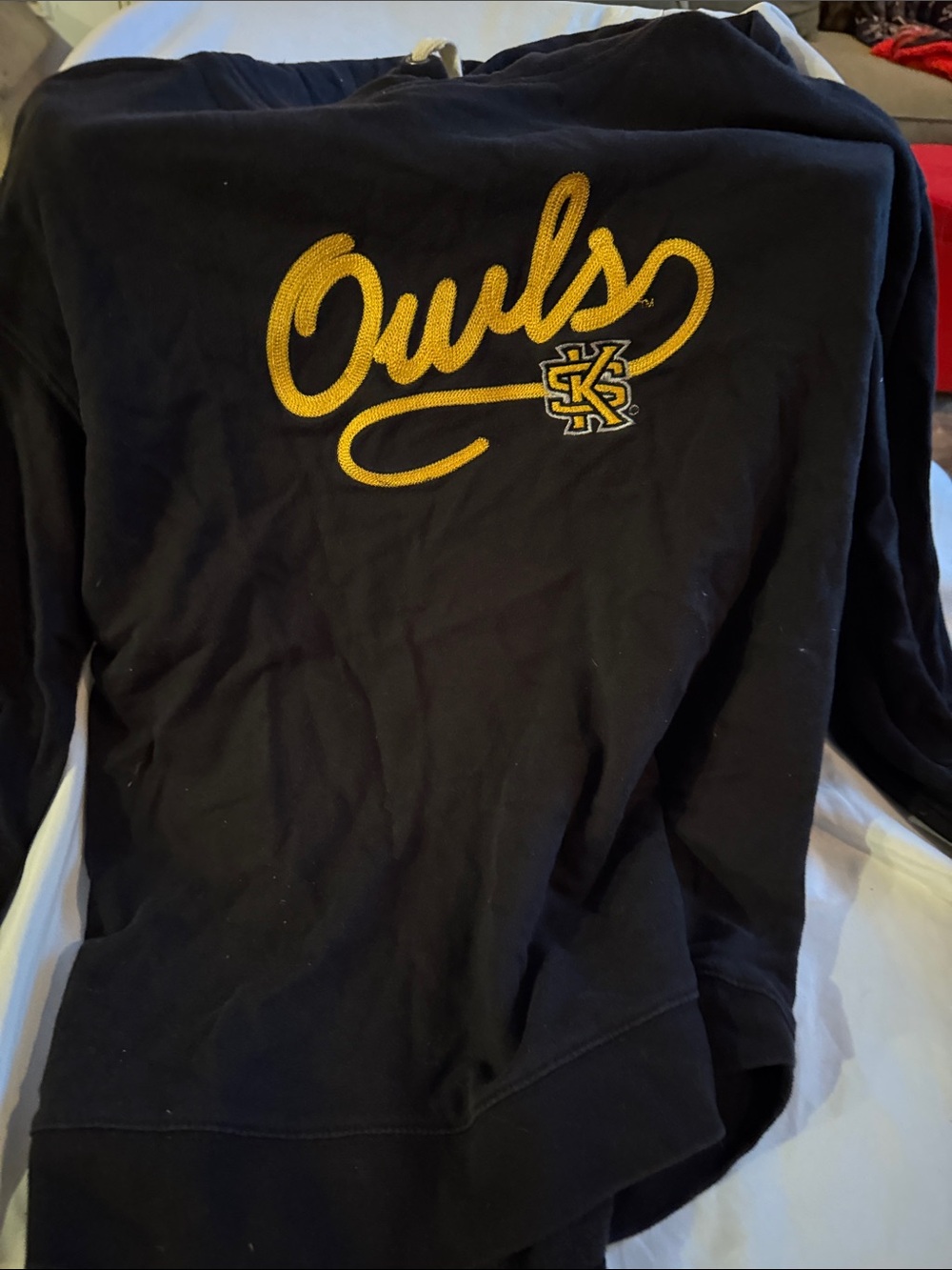 Owls Script Sweatshirt with Embroidered Logo- Champion- Large